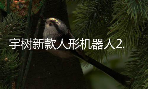 人形人29万新款机器景宇树元起于工业场可用售，